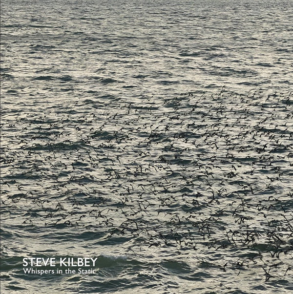 Whispers In The Static/Grey Vinyl/CD inclus - Front Cover