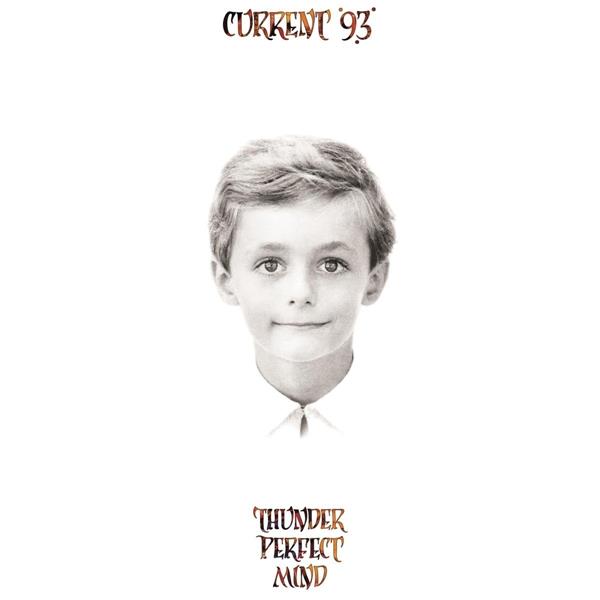 Thunder Perfect Mind/Purple LP - Front Cover