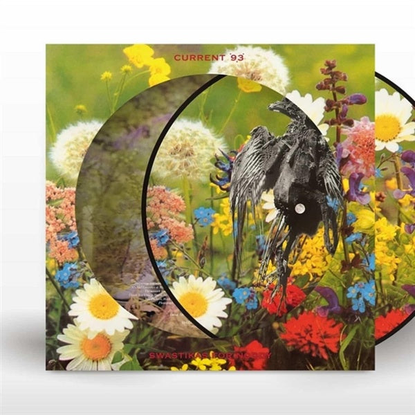 Swastikas For Noddy/Picture Disc - Front Cover