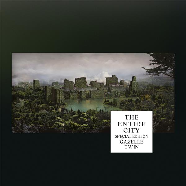 The Entire City/Special Edition Silver Grey Vinyl - Front Cover