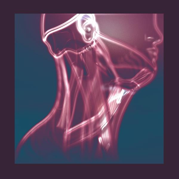 The Flow In Between - Front Cover