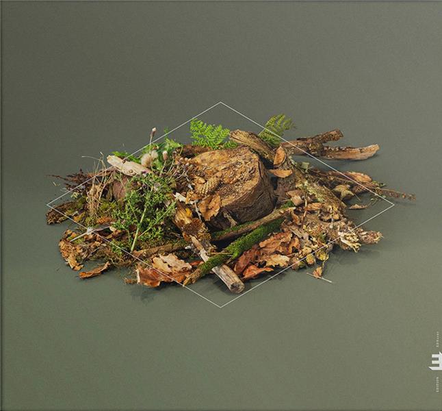 Forest Floor - Front Cover