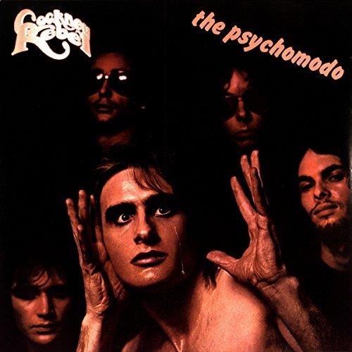 The Psychomodo - Front Cover