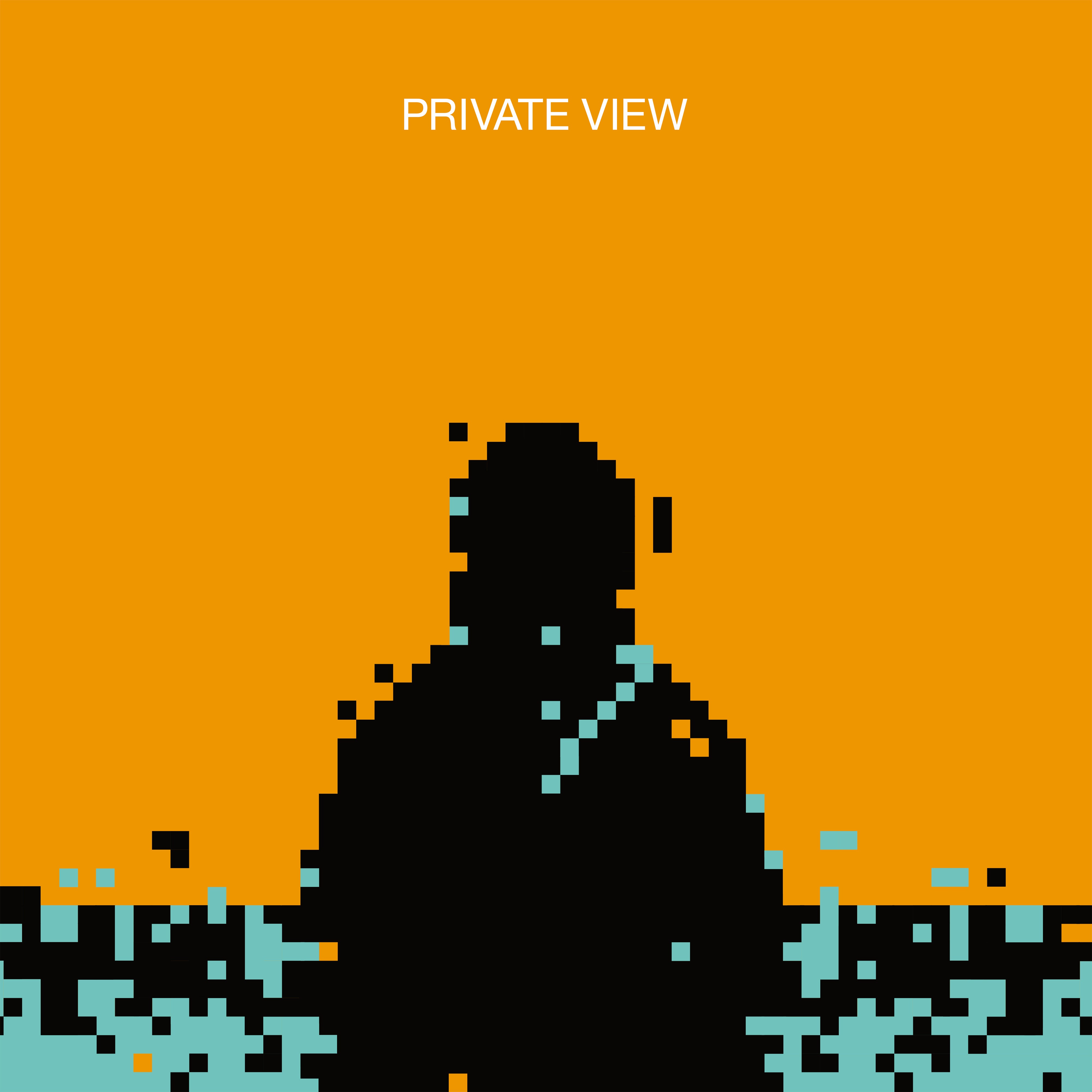 PRIVATE VIEW - Front Cover