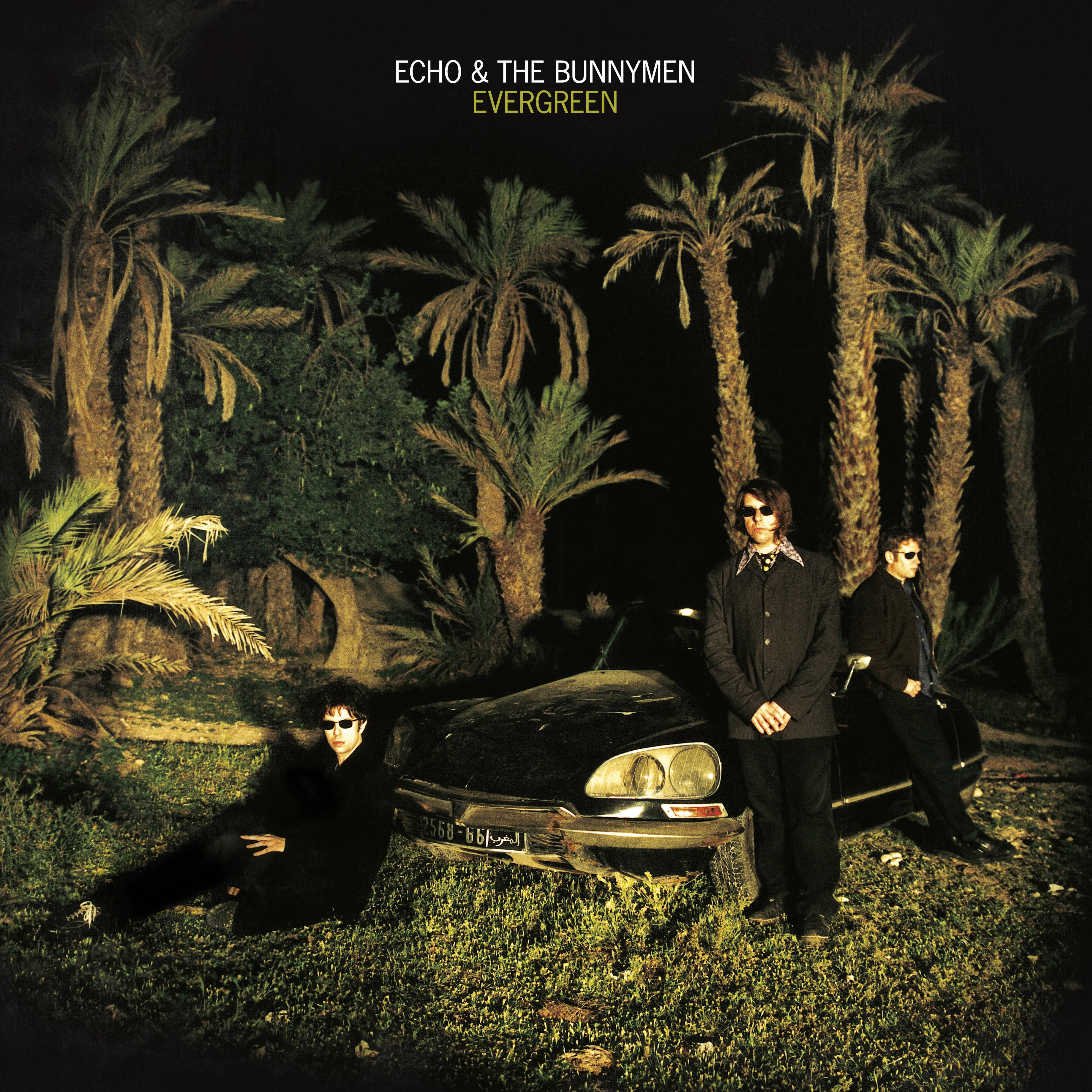 EVERGREEN (25 YEAR ANNIVERSARY - Back Cover