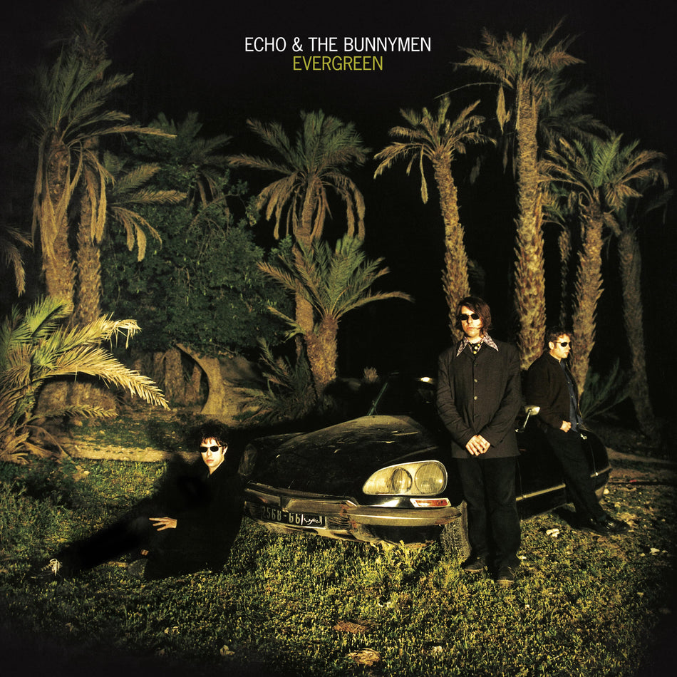EVERGREEN (25 YEAR ANNIVERSARY - Back Cover