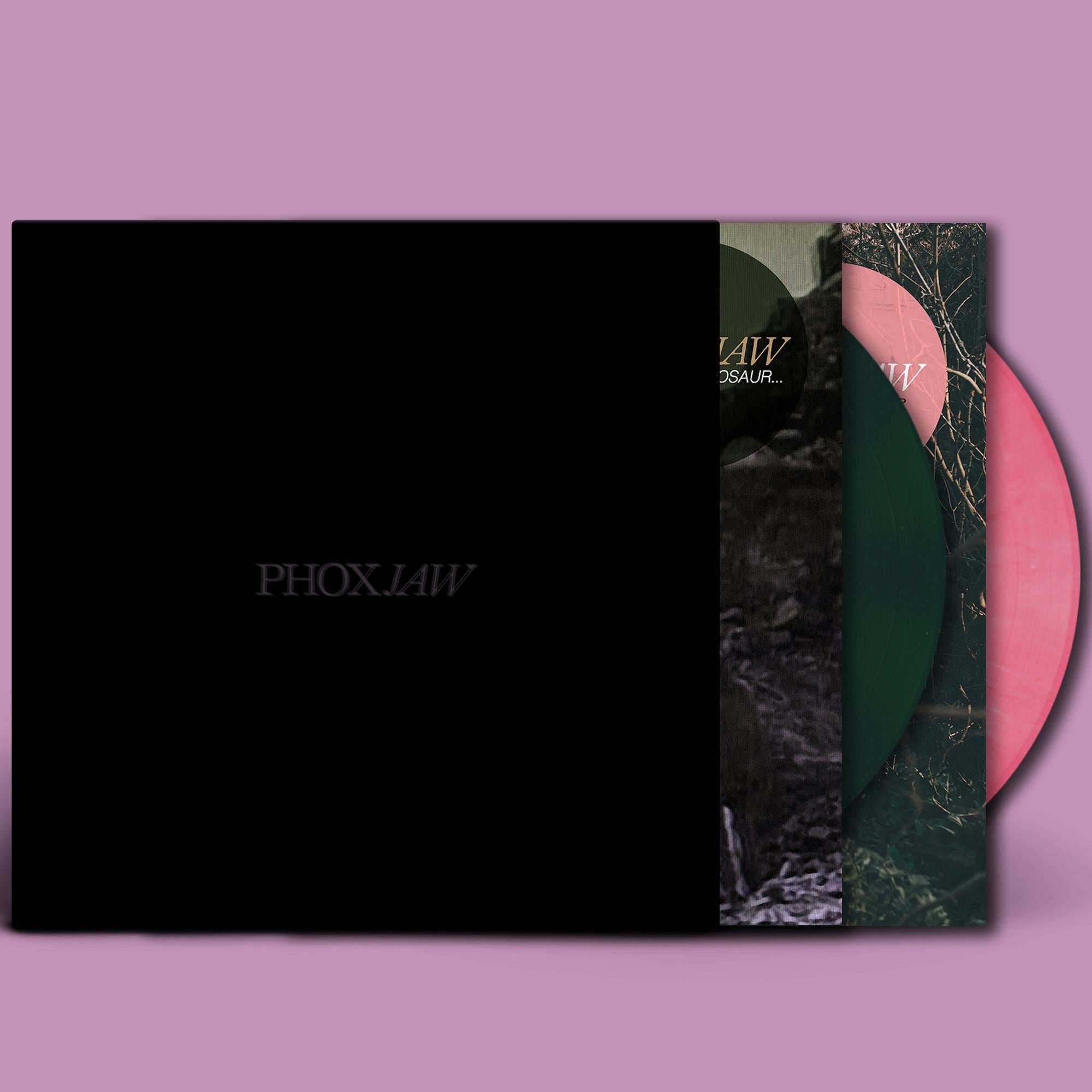 Goodbye Dinosaur//A Playground…/Colored Vinyl - Front Cover
