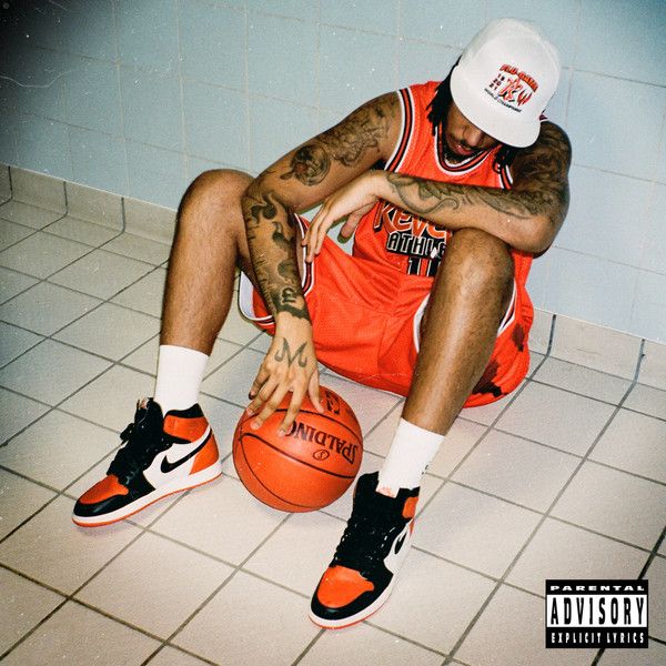 Flu Game - Front Cover