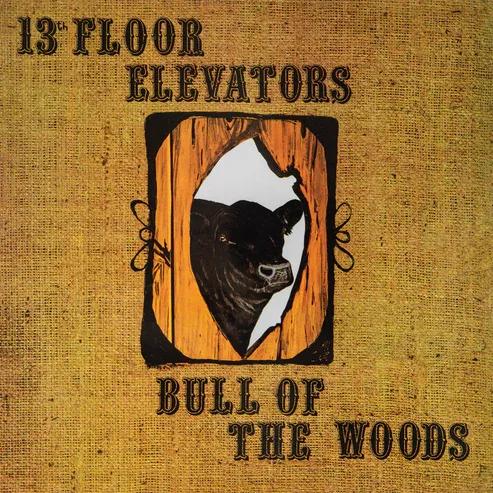 Bull Of The Woods - Front Cover