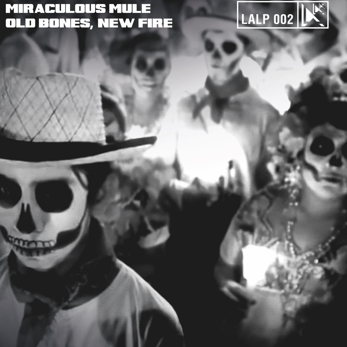 Old Bones, New Fire - Front Cover
