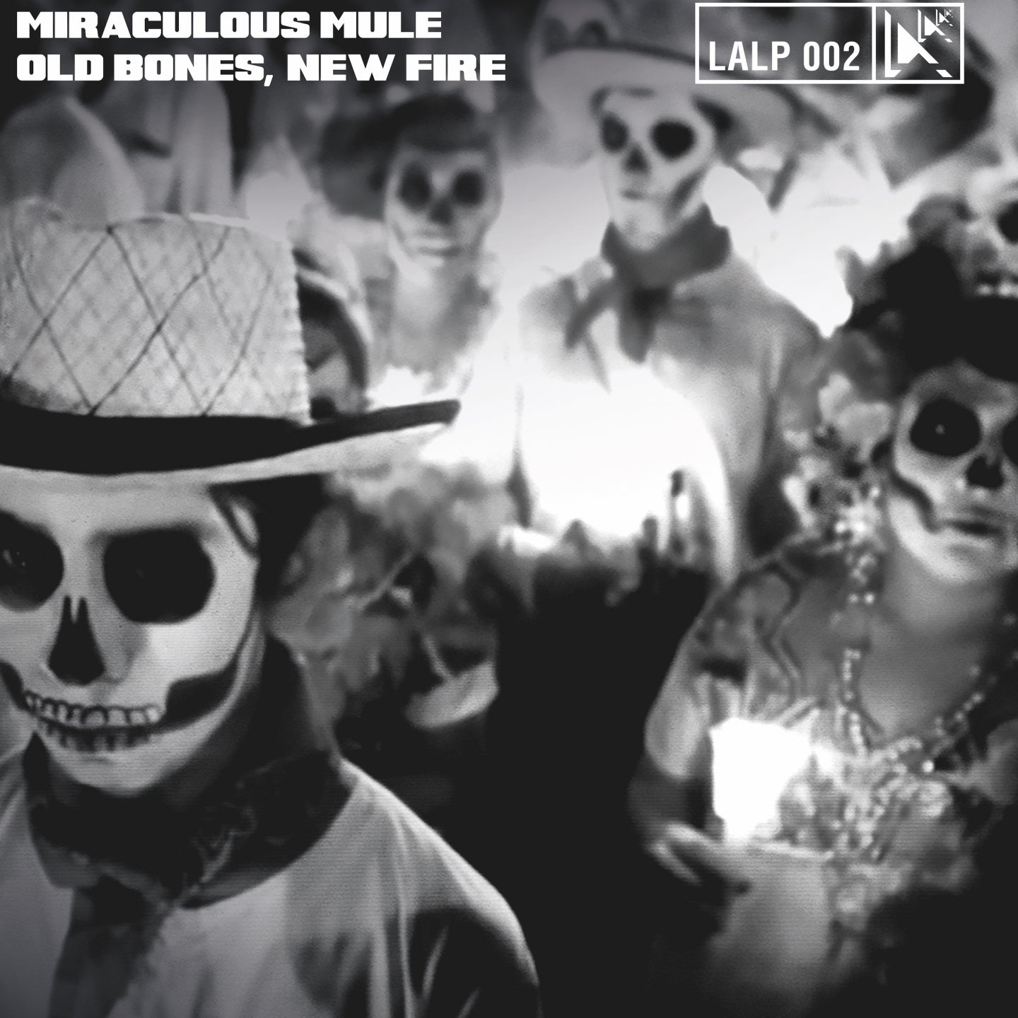 Old Bones, New Fire - Front Cover