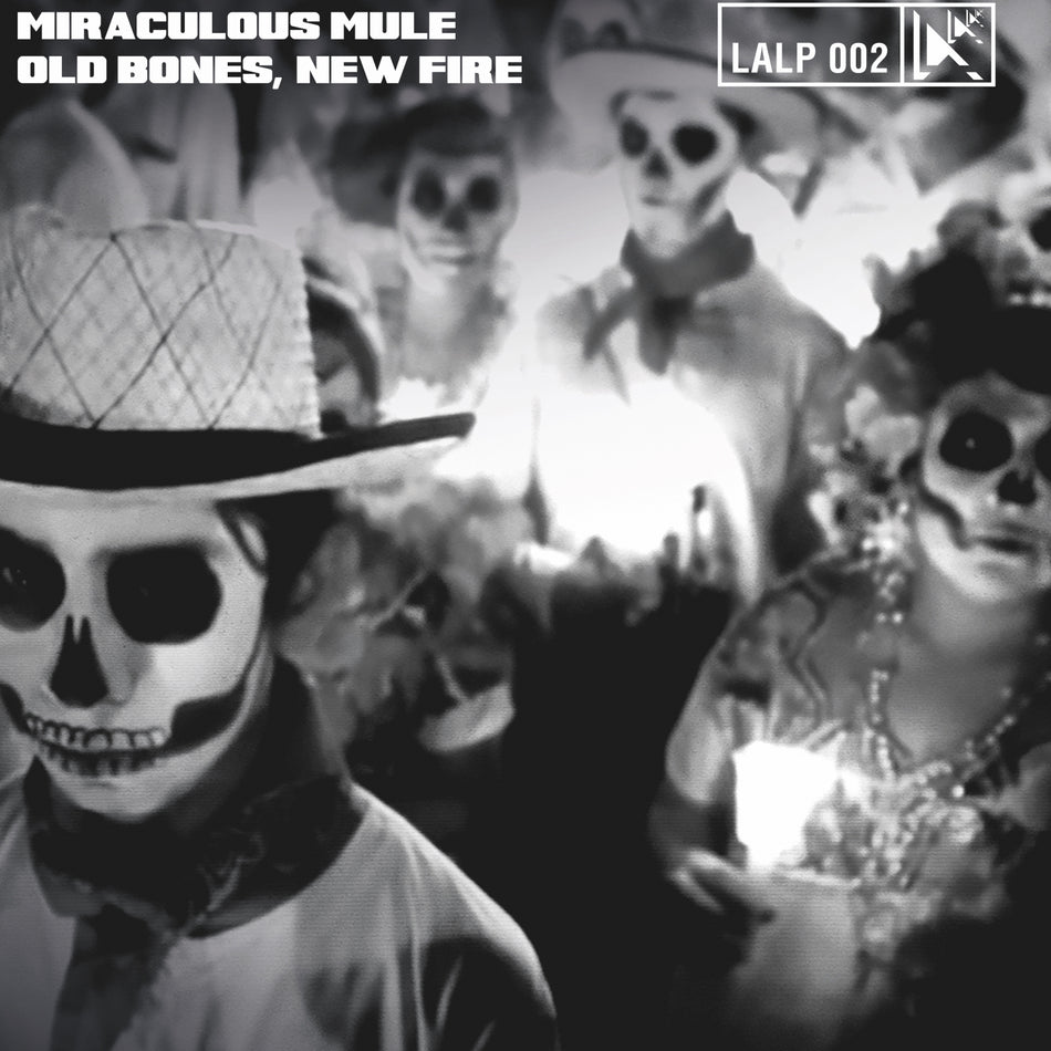 Old Bones, New Fire - Front Cover