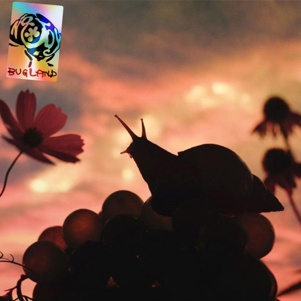 Bugland/Exoskeleton Blue Vinyl with Foldout Poster - Front Cover