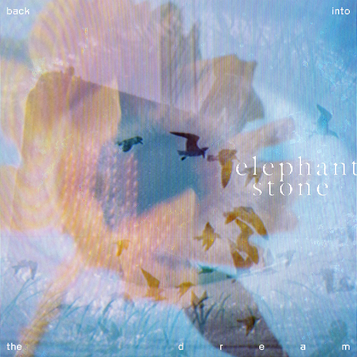 Back Into The Dream/180g Ultra-Clear Vinyl/Gatefold - Front Cover