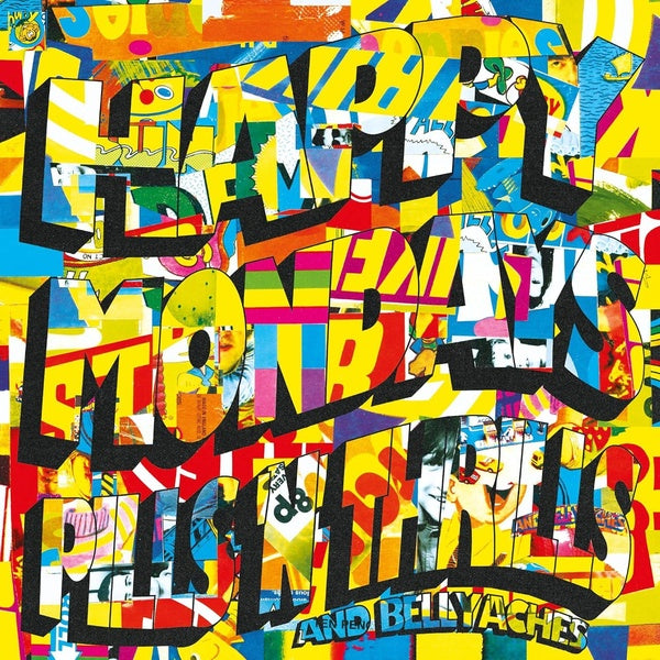 Pills `N' Thrills And Bellyaches - Front Cover
