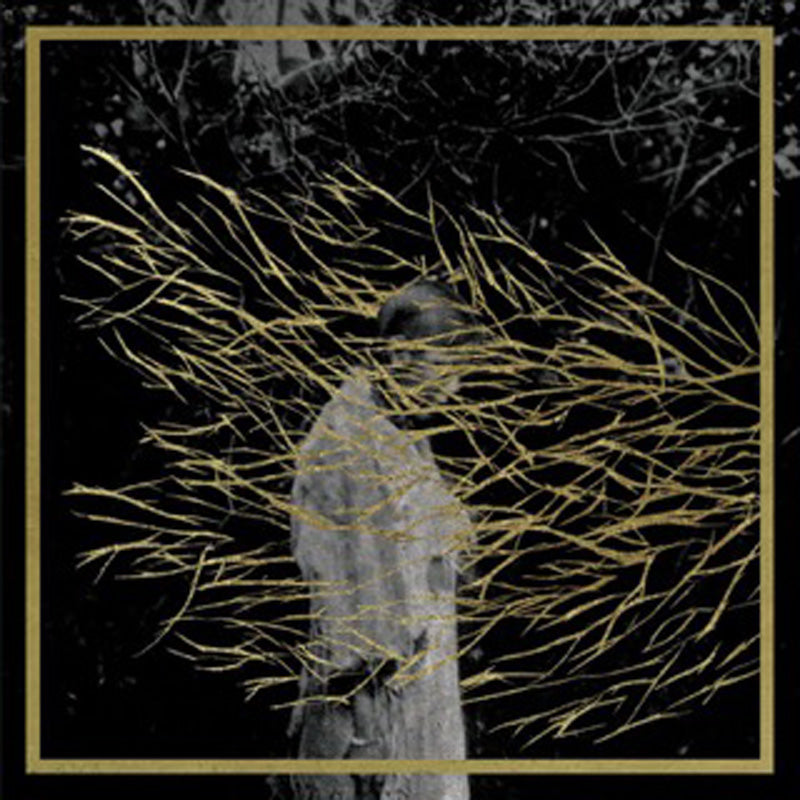 ENGRAVINGS 2025 EDITION/LIMITED - Front Cover