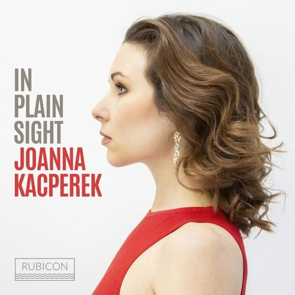 In Plain Sight - Front Cover