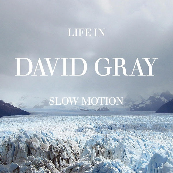 Life In Slow Motion (20Th Anniversary Edition) - Front Cover