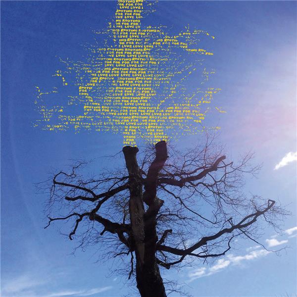 Rooting For Love - Front Cover