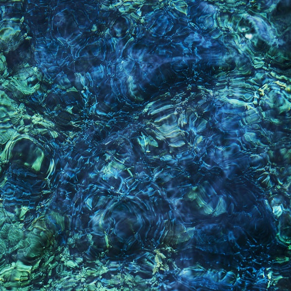 Luminescent Creatures - Front Cover