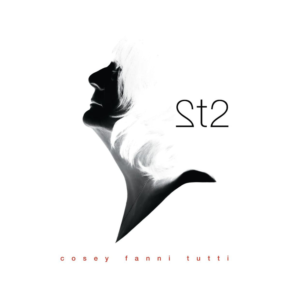 2t2/Color vinyl - Front Cover
