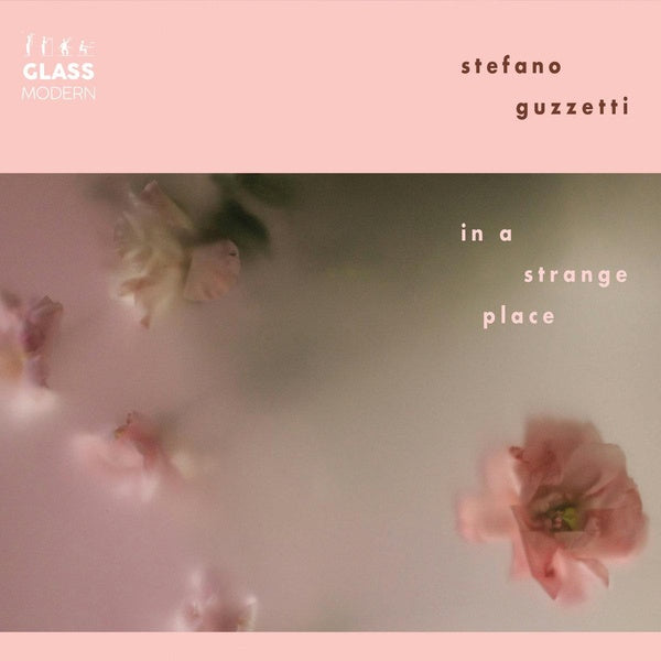 In A Strange Place - Front Cover