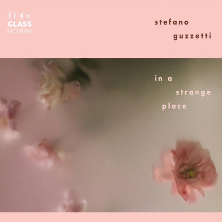 In A Strange Place - Front Cover