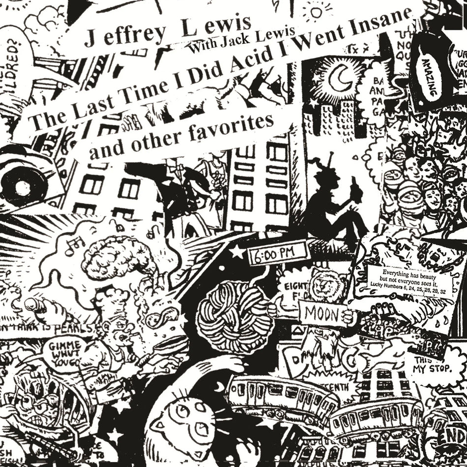 The Last Time I Did Acid I Went Insane - Front Cover