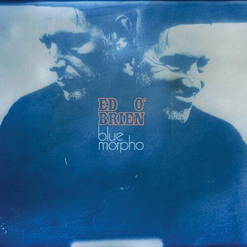 Blue Morpho - Front Cover