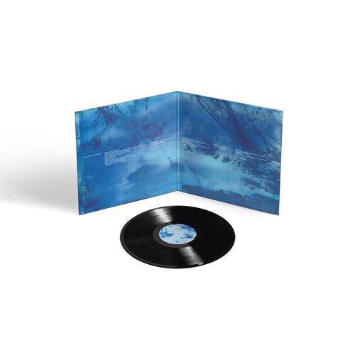 Blue Morpho - Front Cover