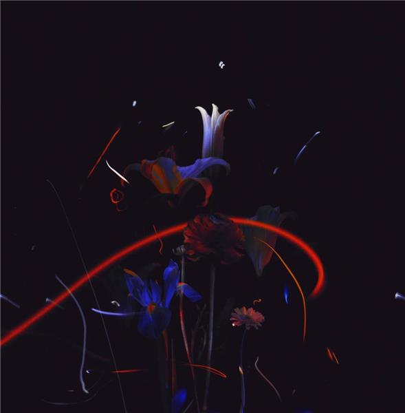 Madrigals - Front Cover