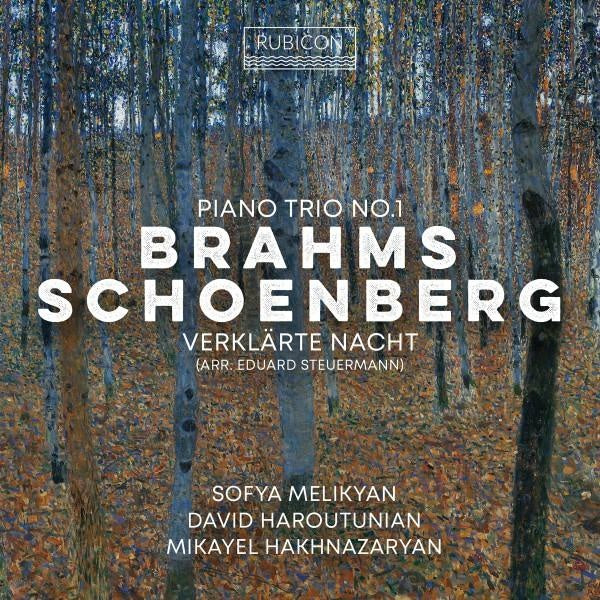 Brahms : Piano Trio No. 1 - Schoenberg: Verklarte Nacht - Front Cover