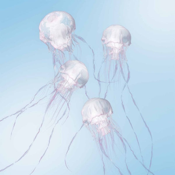 Luminous - Front Cover