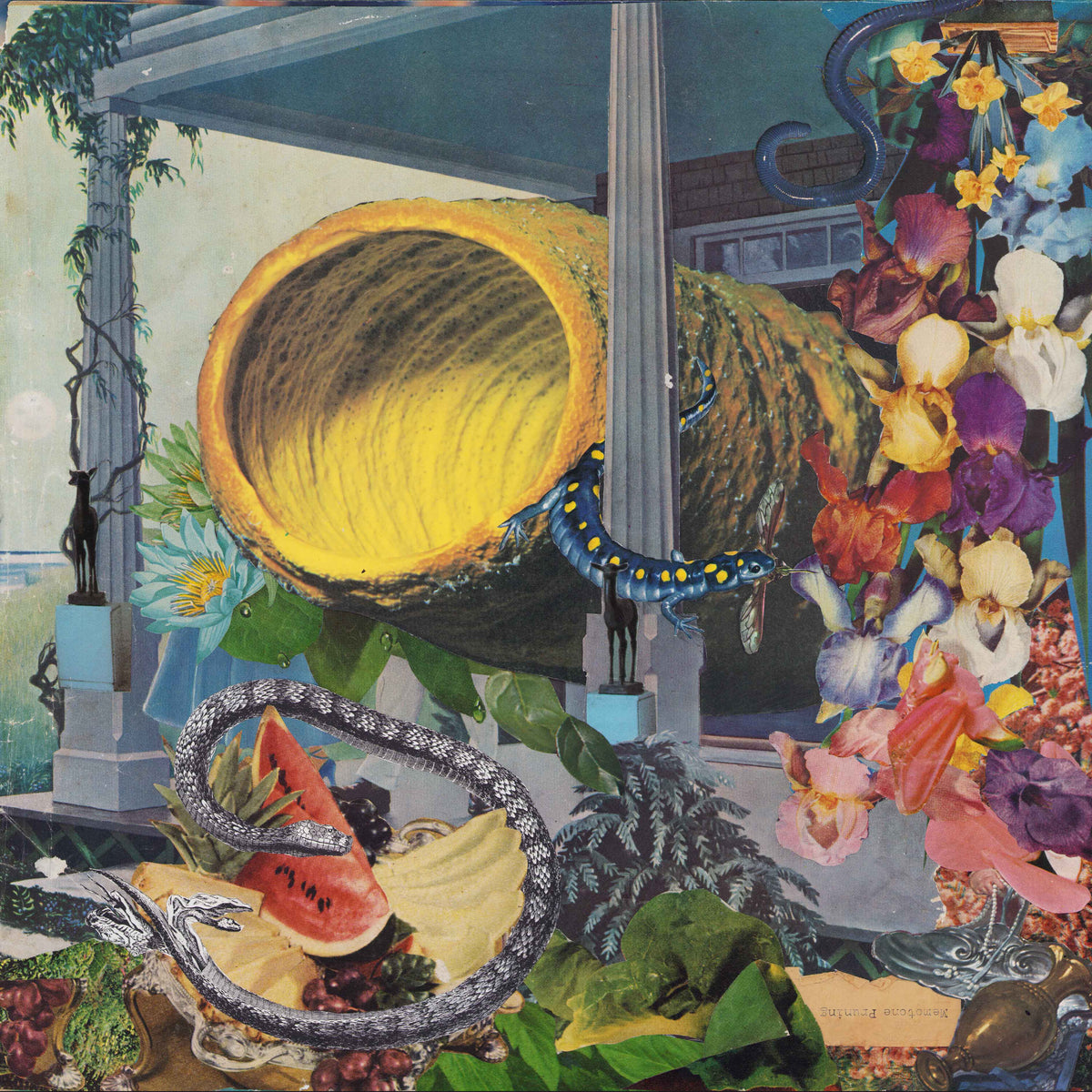 Pruning - Front Cover