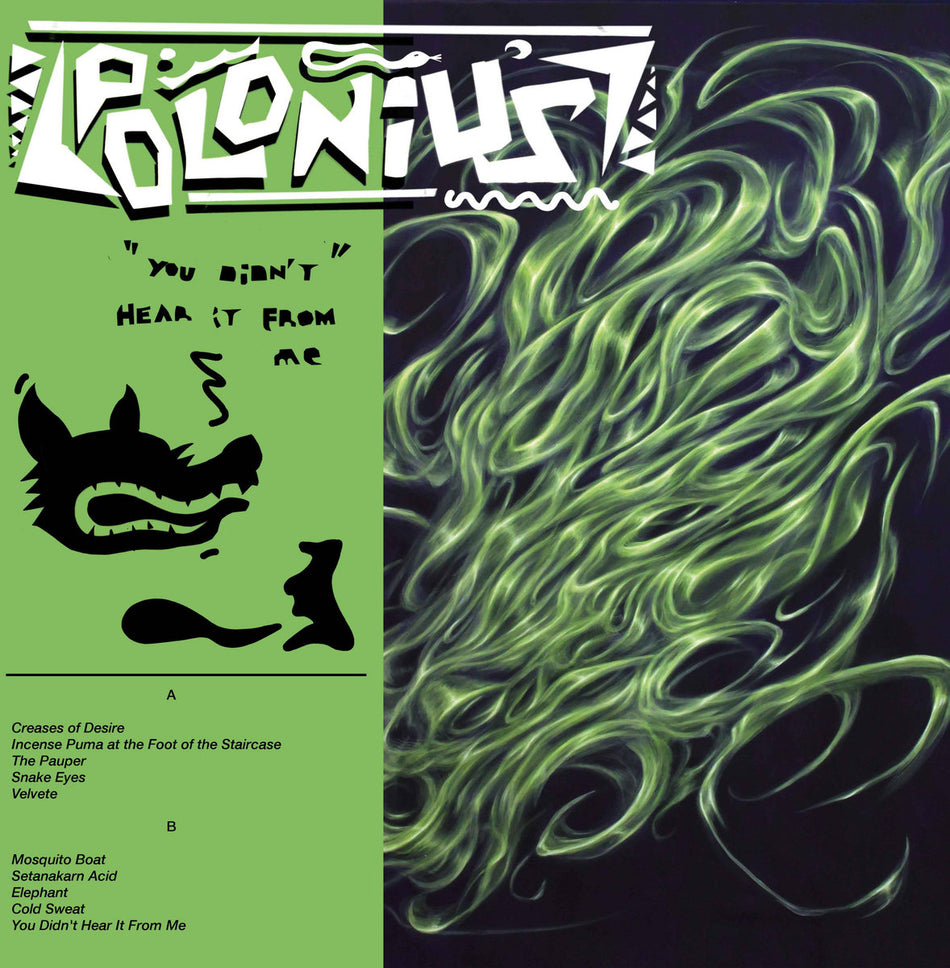 You Didn't Hear It From Me - Front Cover