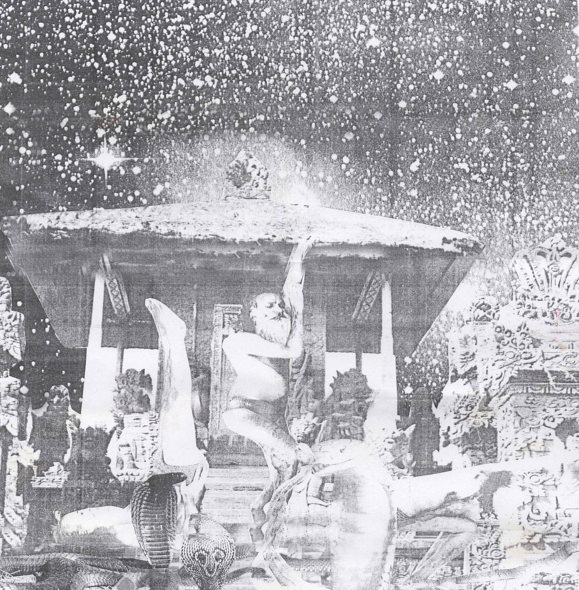 Snakinist Sand Form/No Jaw Nite Rights - Front Cover