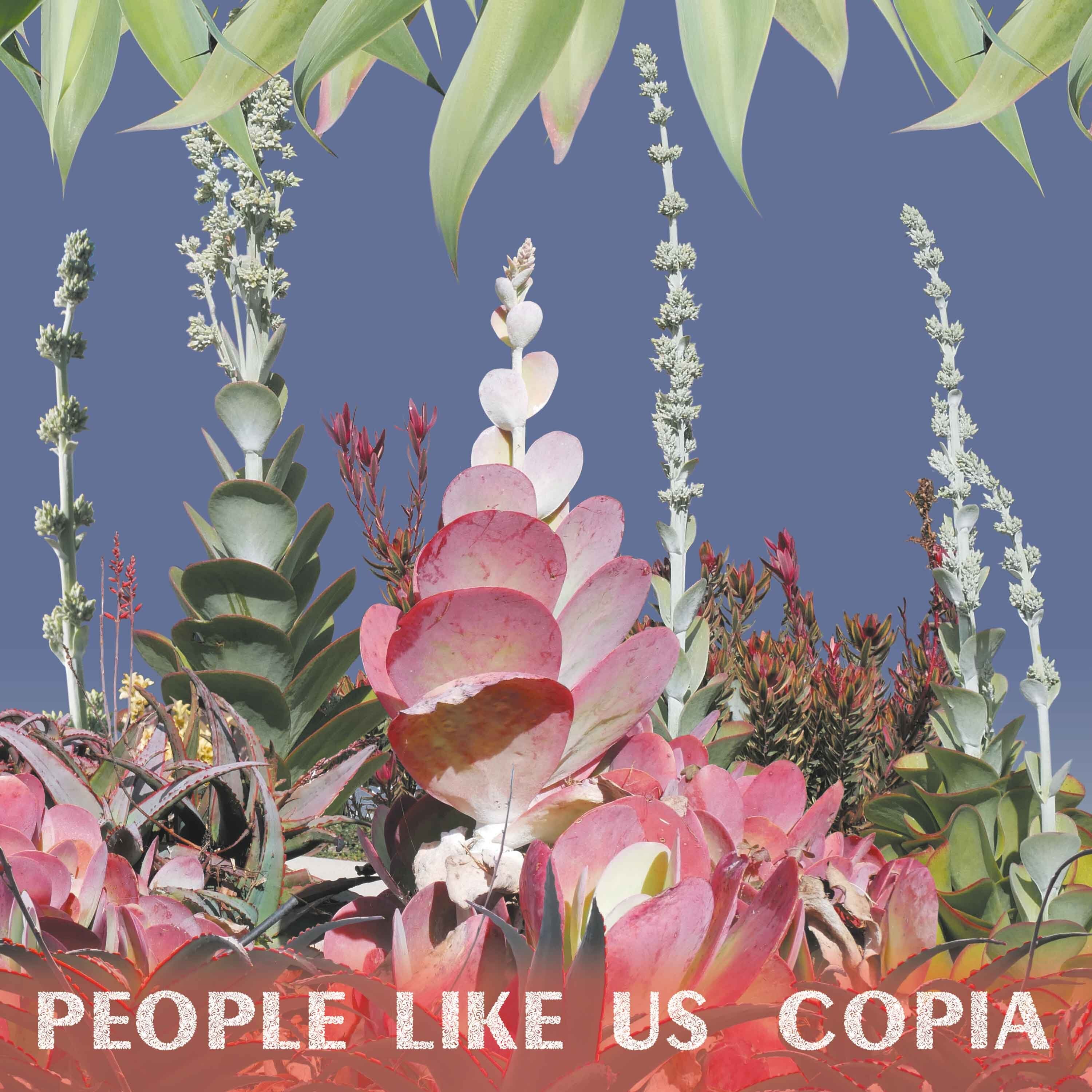 Copia - Front Cover