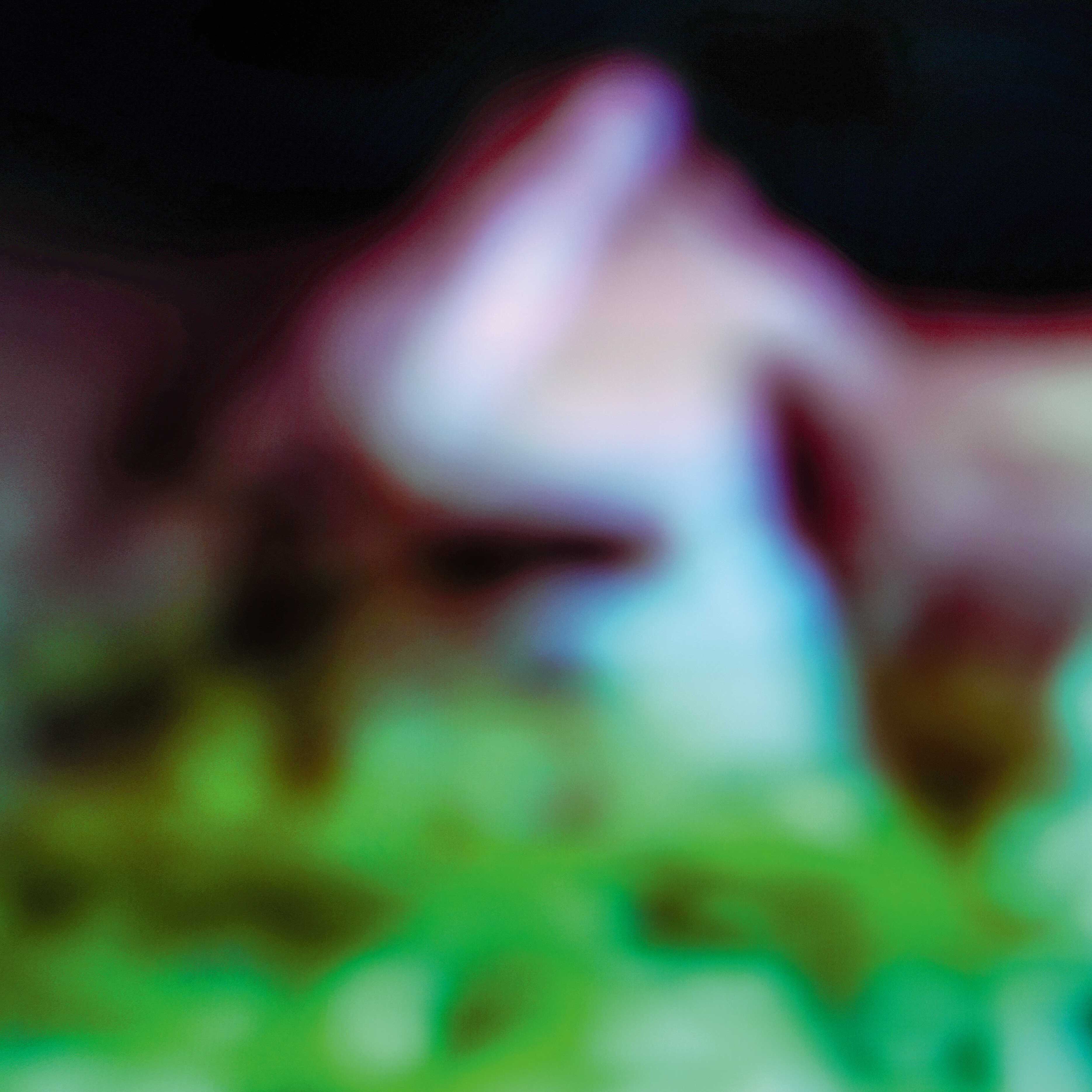 Disc Rot - Front Cover