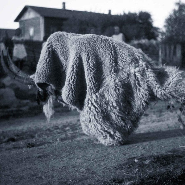 Pneuma - Front Cover