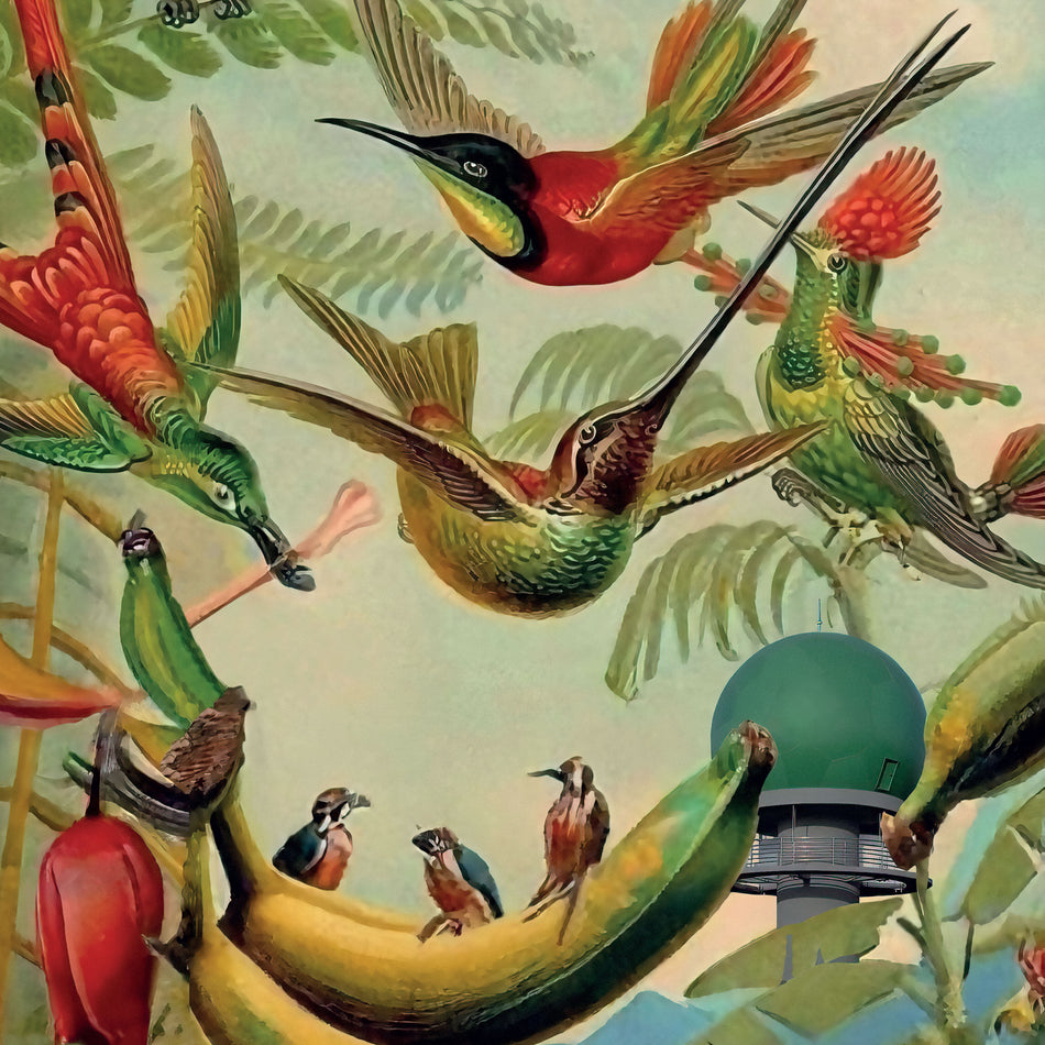 Radar Keroxen Vol.4 - Front Cover