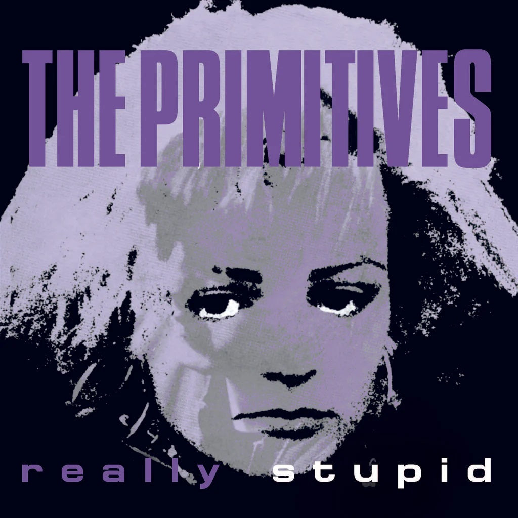 Really Stupid - Front Cover