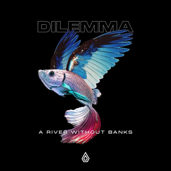 A River Without Banks - Front Cover