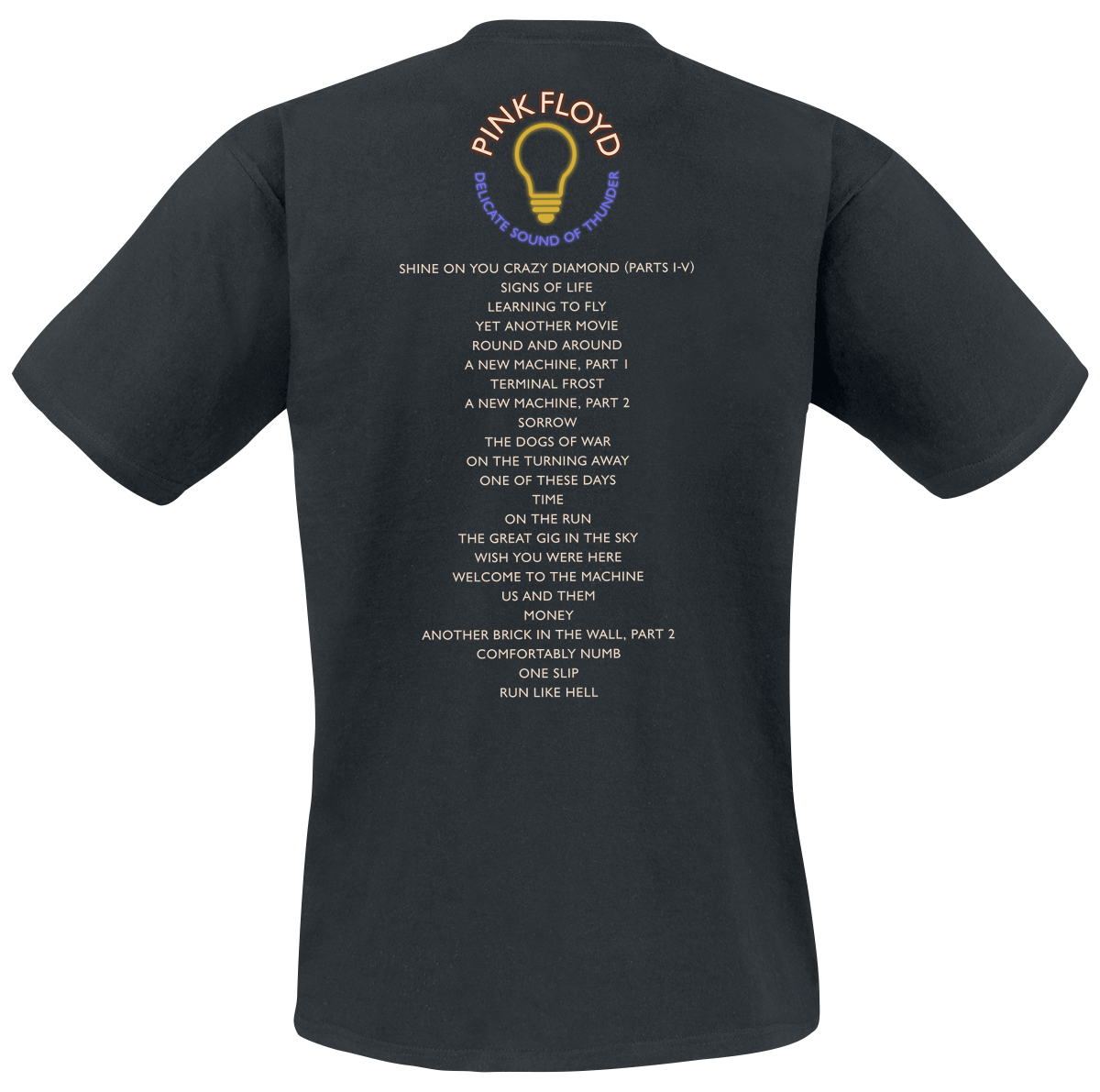 T-Shirt Manches courtes  de Pink Floyd - Delicate Sound Of Thunder Stage - XL à 3XL - pour Homme - noir - Pink Floyd - View 2