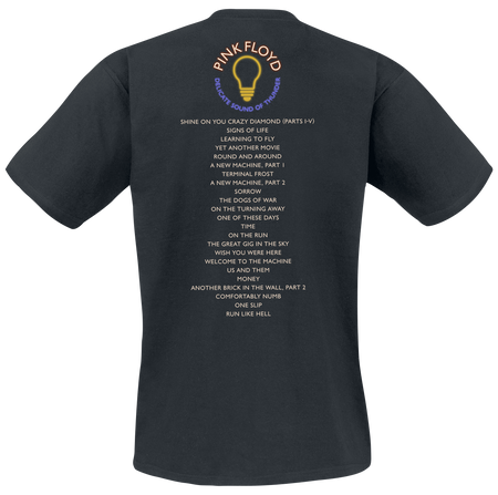 T-Shirt Manches courtes  de Pink Floyd - Delicate Sound Of Thunder Stage - XL à 3XL - pour Homme - noir - Pink Floyd - View 2