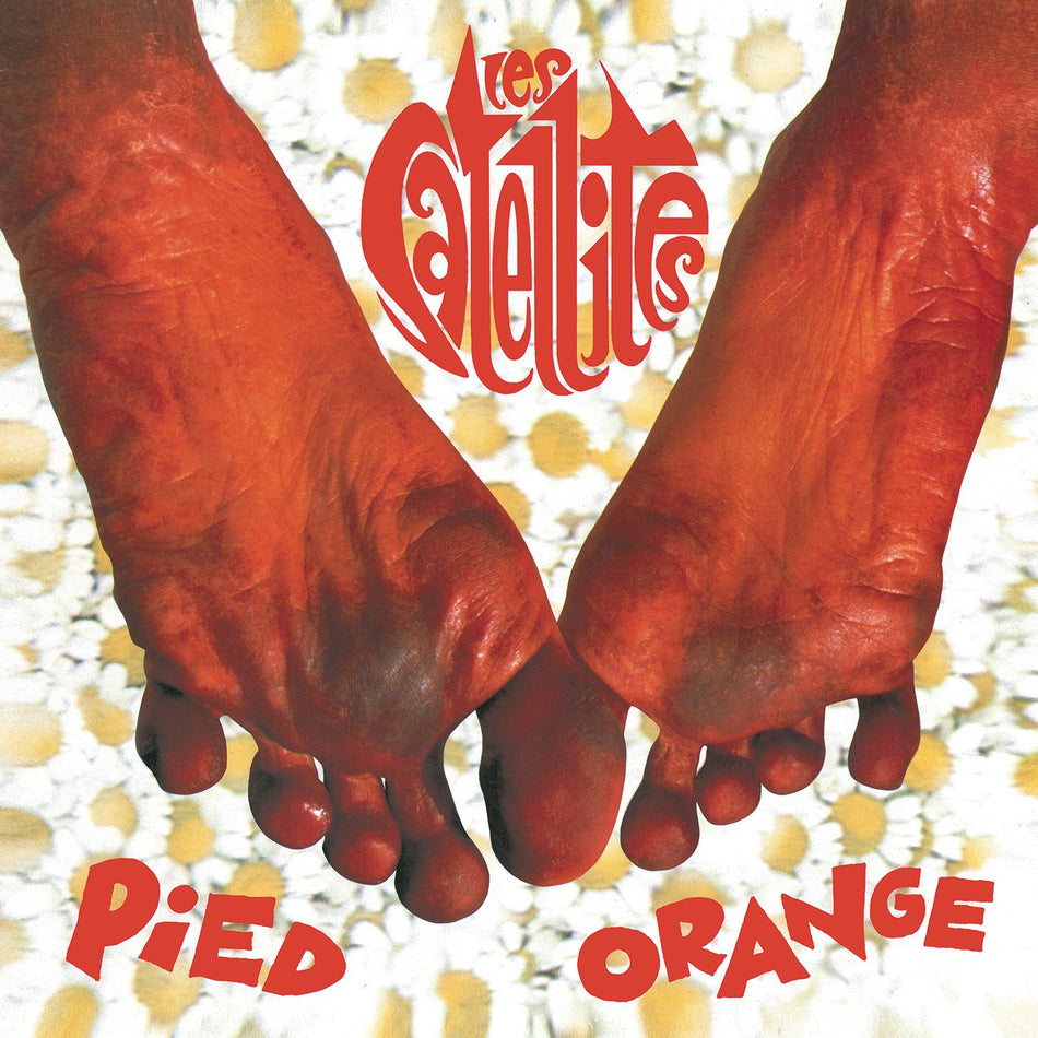 Pied Orange - Front Cover