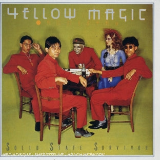 Solid state survivor - Front Cover