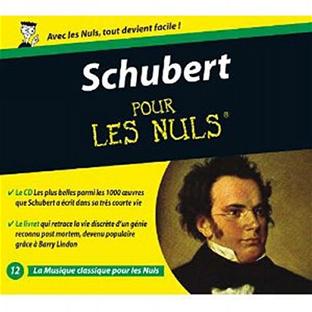 Schubert pour les nuls - Front Cover