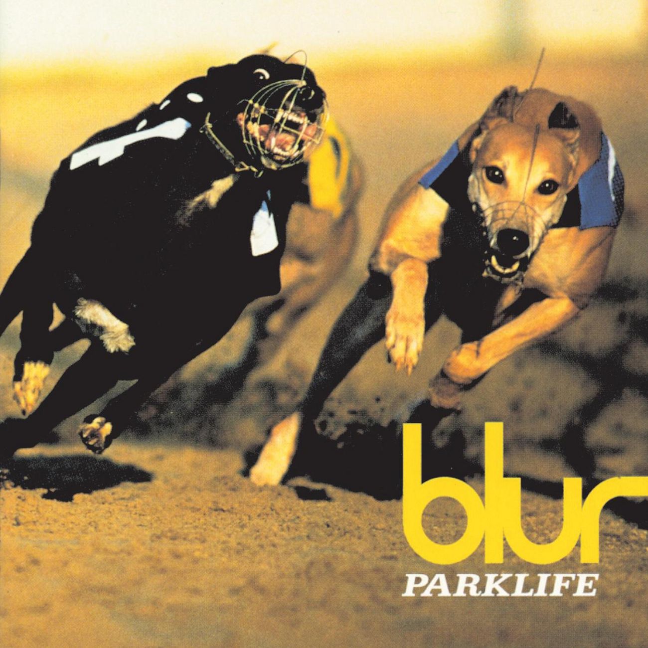 PARKLIFE - Front Cover