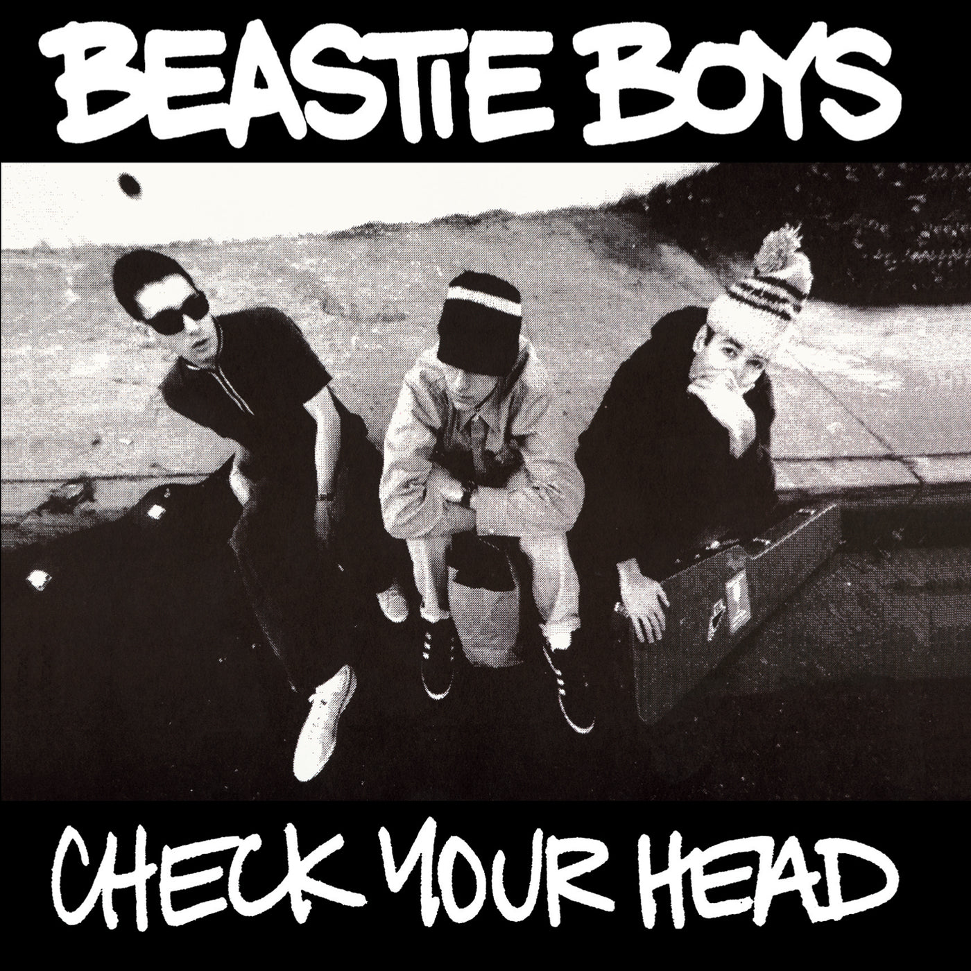 Check Your Head - Front Cover