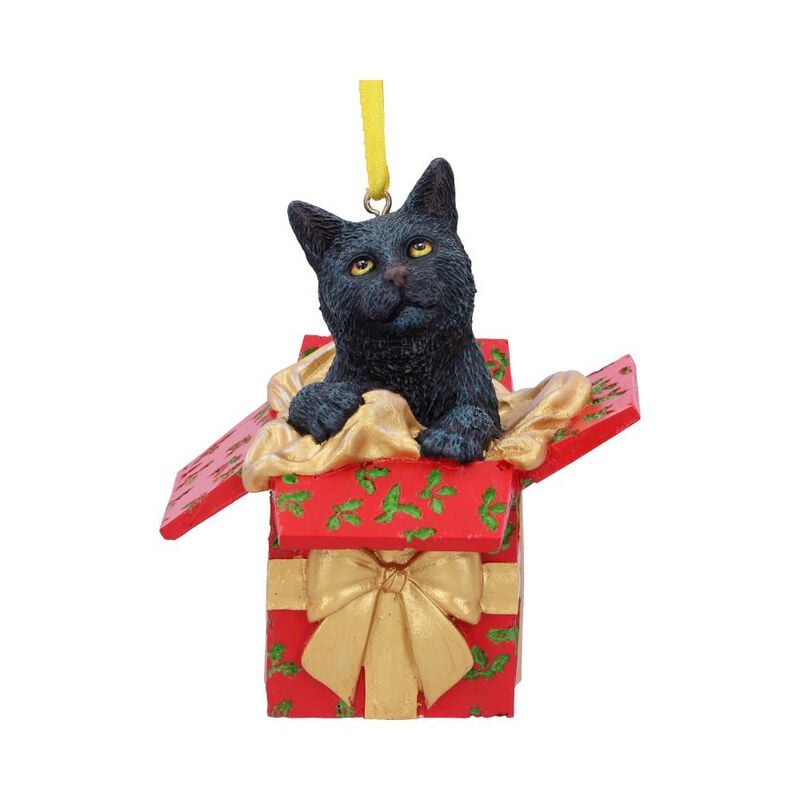 Boules  de Nemesis Now - Present Cat - pour Unisexe - Standard - Nemesis Now